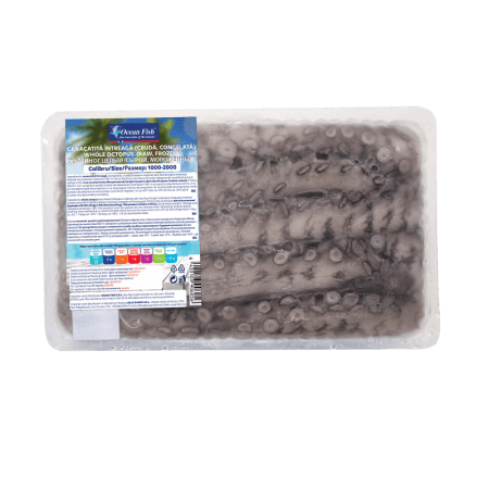 Caracatita cruda, intreaga 1-2 kg, in caserola, congelata