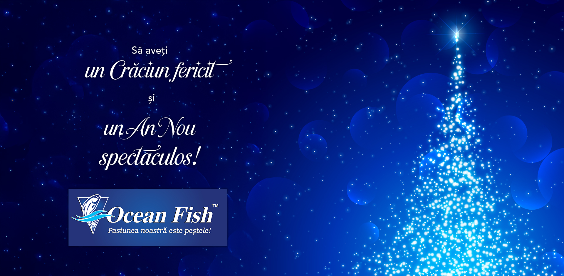 Felicitare craciun Site 2025